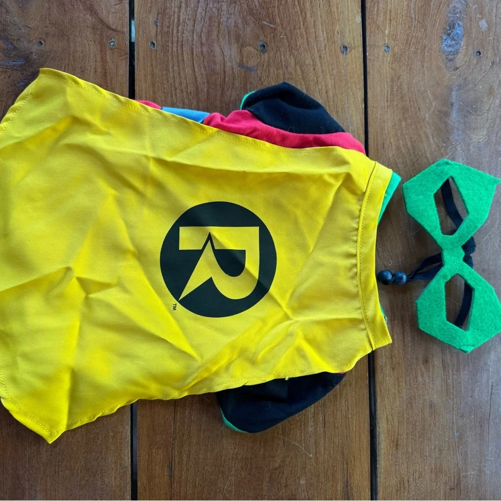 Superhero pet with Mask - Robin